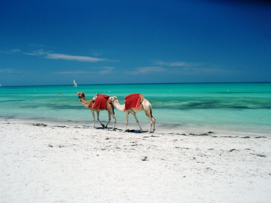Le meilleur de Djerba, l'île aux sables d'or | Explore par Expedia